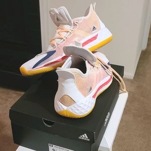 Adidas Pro Boost Low (with box)